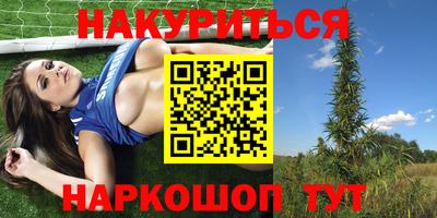 шишки Пугачёв