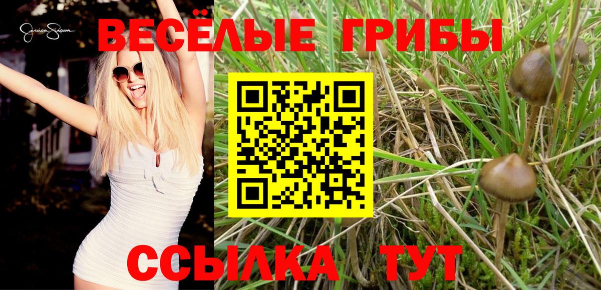 Галлюциногенные грибы Cubensis  Вход с VPN  Родники 